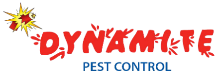 Dynamite Pest Control Logo